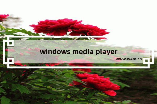 windows media player已停止工作什么意思,windows media player有用吗