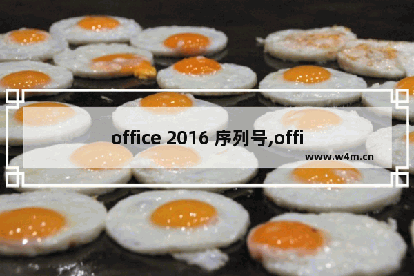 office 2016 序列号,office2007专业版序列号