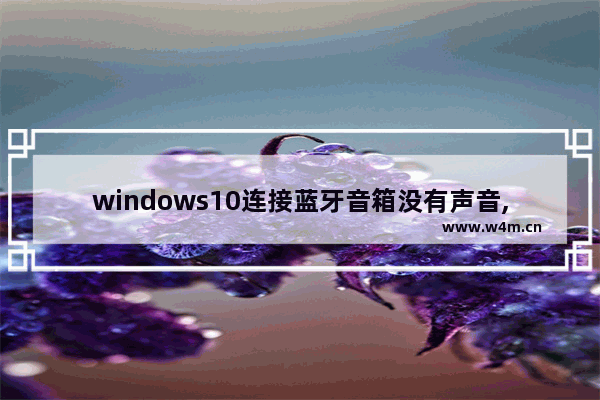 windows10连接蓝牙音箱没有声音,win10蓝牙找不到音响