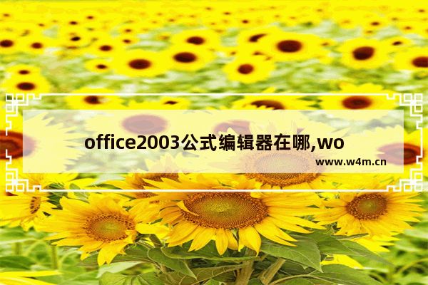 office2003公式编辑器在哪,word2003公式编辑器设置快捷键