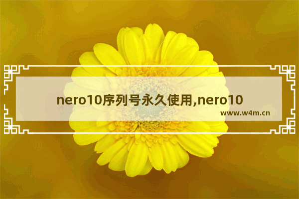 nero10序列号永久使用,nero10.0序列号