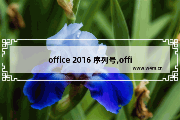 office 2016 序列号,office2007专业版序列号