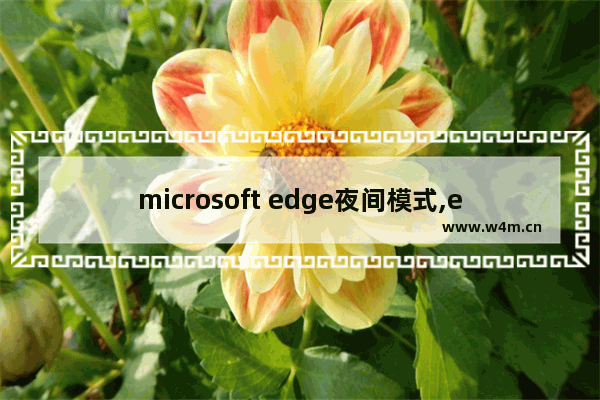 microsoft edge夜间模式,edge浏览器怎么开启夜间模式