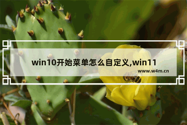 win10开始菜单怎么自定义,win11开始菜单自定义