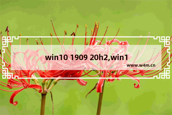 win10 1909 20h2,win10 1903激活密钥