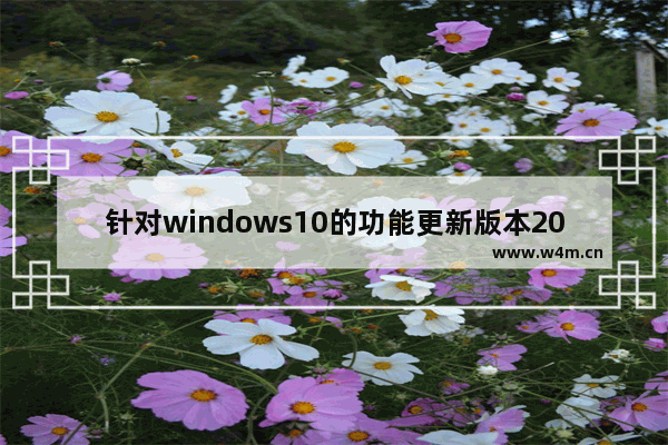 针对windows10的功能更新版本20h2,win10专业版多的功能