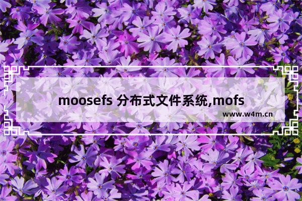 moosefs 分布式文件系统,mofs自组装