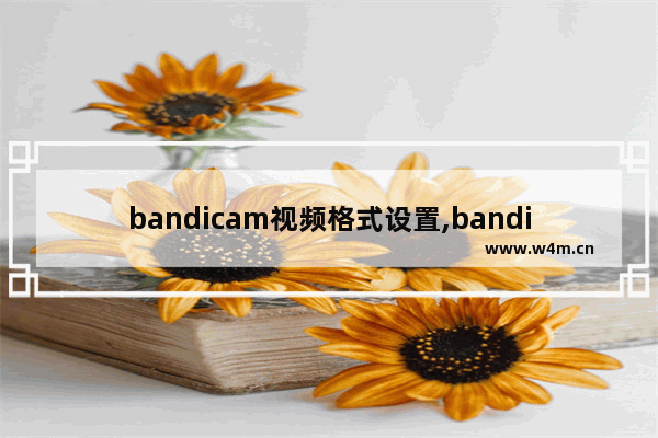 bandicam视频格式设置,bandicam怎么设置高清录屏