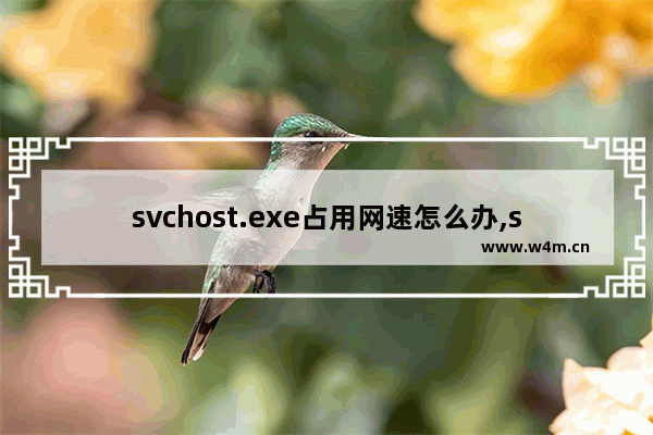 svchost.exe占用网速怎么办,svchost. exe占用网速