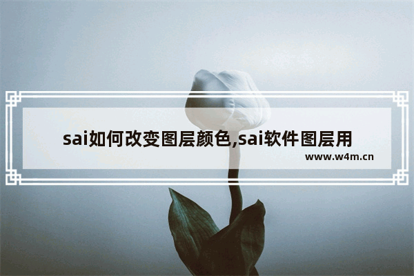 sai如何改变图层颜色,sai软件图层用法