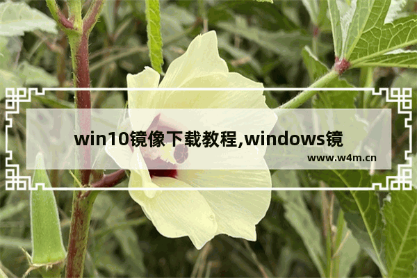 win10镜像下载教程,windows镜像教程