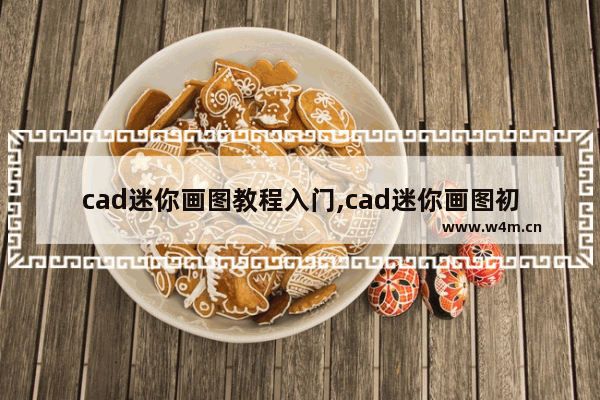 cad迷你画图教程入门,cad迷你画图初学入门