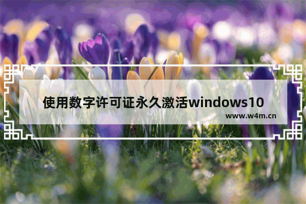 使用数字许可证永久激活windows10,数字认证激活win10