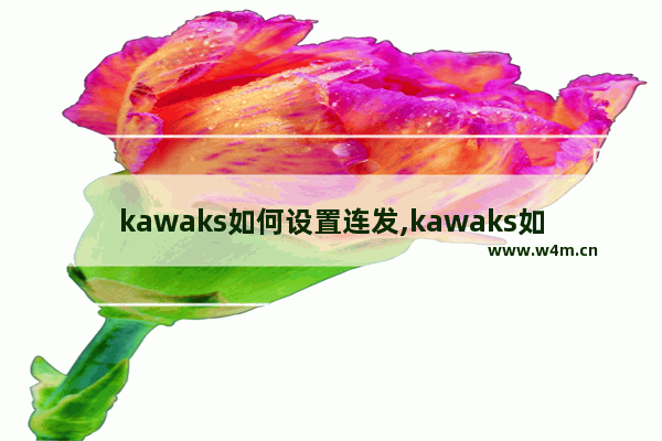 kawaks如何设置连发,kawaks如何设置连击