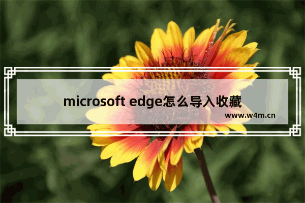 microsoft edge怎么导入收藏夹,edge浏览器的收藏夹在哪个文件夹