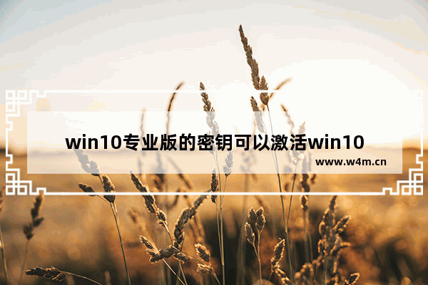 win10专业版的密钥可以激活win10家庭版吗,windows10专业版密钥