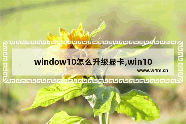 window10怎么升级显卡,win10系统怎么升级显卡驱动