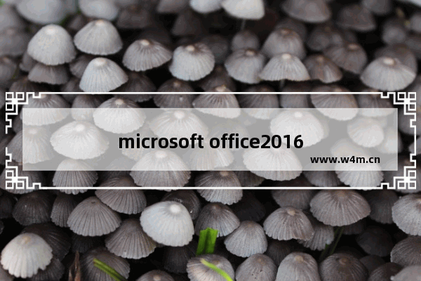 microsoft office2016安装包,microsoft2016安装包