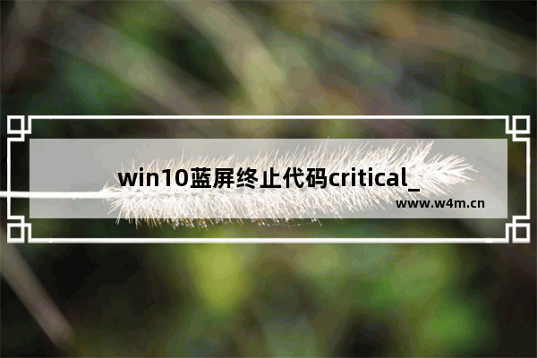 win10蓝屏终止代码critical_structure,蓝屏代码CRITICAL STRUCTURE CORRUPTION