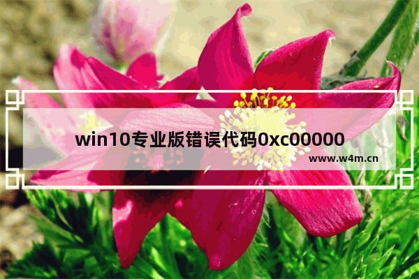 win10专业版错误代码0xc0000001,win10系统需要修复错误代码0xc0000225