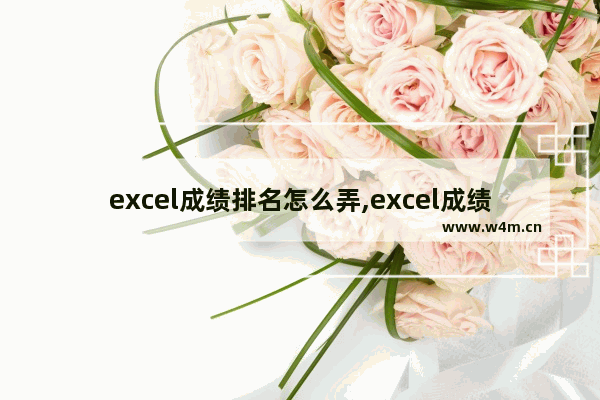 excel成绩排名怎么弄,excel成绩表如何排名