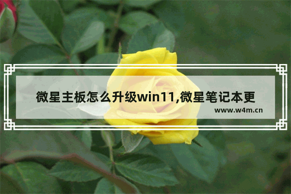 微星主板怎么升级win11,微星笔记本更新win11