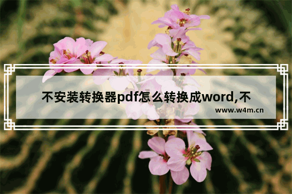 不安装转换器pdf怎么转换成word,不用软件将pdf转换成word