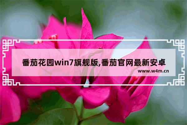 番茄花园win7旗舰版,番茄官网最新安卓下载地址