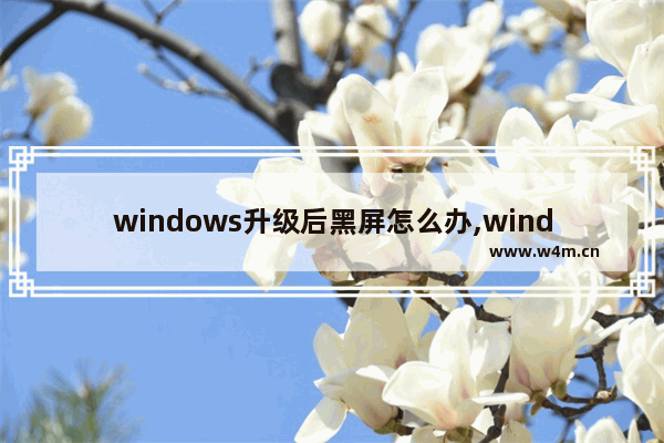 windows升级后黑屏怎么办,windows10升级后黑屏怎么办