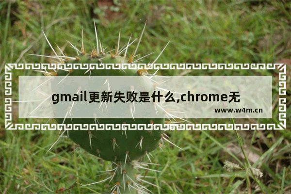 gmail更新失败是什么,chrome无法更新至最新版本,因此您未能获得