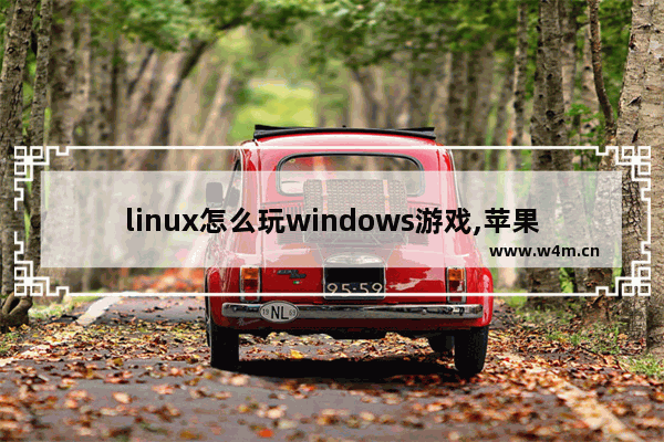 linux怎么玩windows游戏,苹果电脑windows系统能玩游戏吗