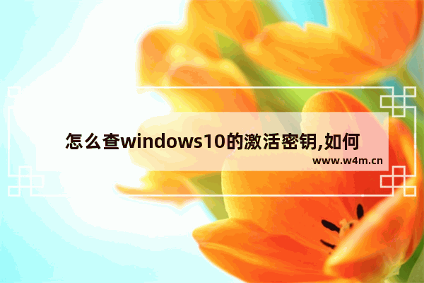 怎么查windows10的激活密钥,如何查看已激活的win10密钥