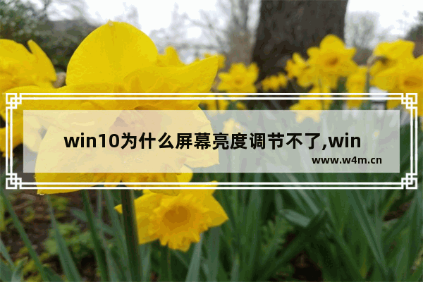 win10为什么屏幕亮度调节不了,windows10无法调节屏幕亮度