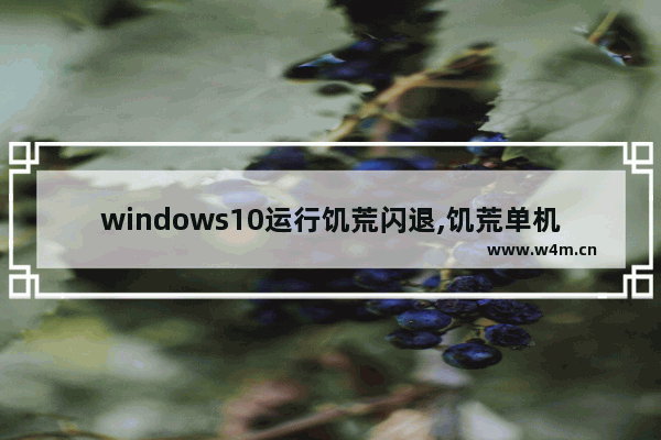 windows10运行饥荒闪退,饥荒单机版闪退win10