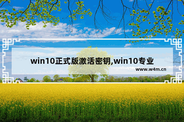 win10正式版激活密钥,win10专业版激活密钥最新可用