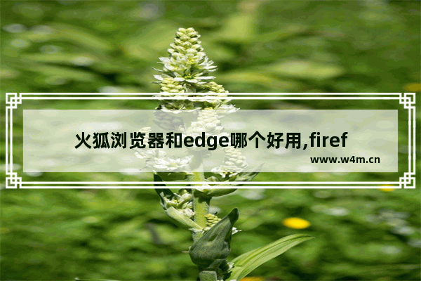 火狐浏览器和edge哪个好用,firefox与chrome哪个好用