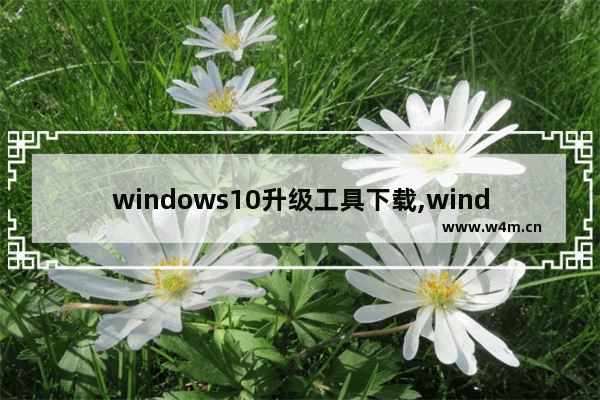 windows10升级工具下载,windows10官方升级工具