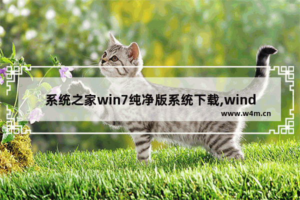 系统之家win7纯净版系统下载,windows7旗舰版32位系统下载