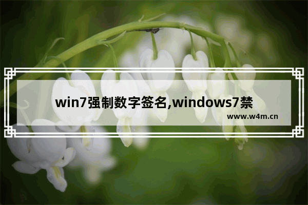 win7强制数字签名,windows7禁用数字签名