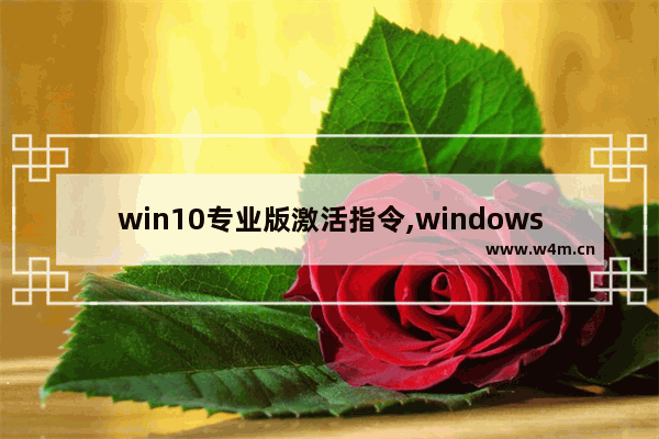 win10专业版激活指令,windows10指令集