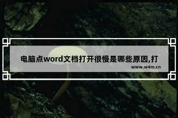 电脑点word文档打开很慢是哪些原因,打开word文档非常慢