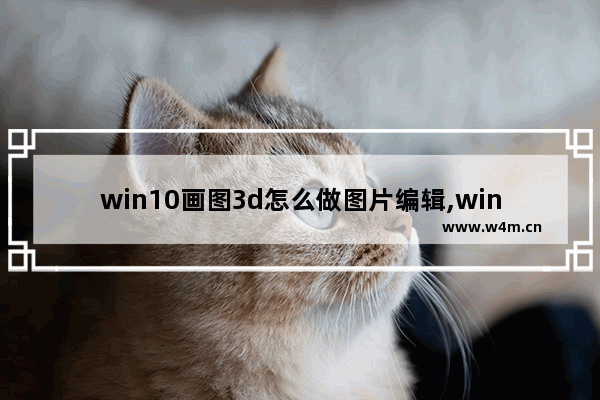 win10画图3d怎么做图片编辑,win10的3d画图能建模吗