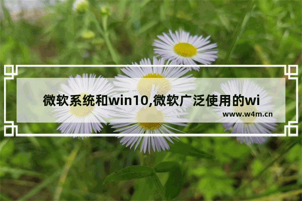 微软系统和win10,微软广泛使用的windows是