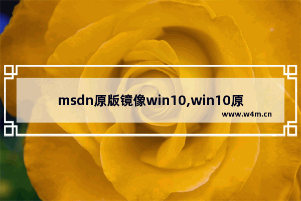 msdn原版镜像win10,win10原版镜像iso用u盘安装方法