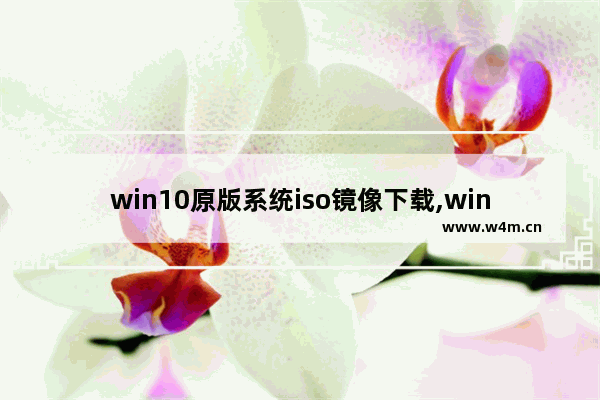 win10原版系统iso镜像下载,windows10原版iso镜像下载_1