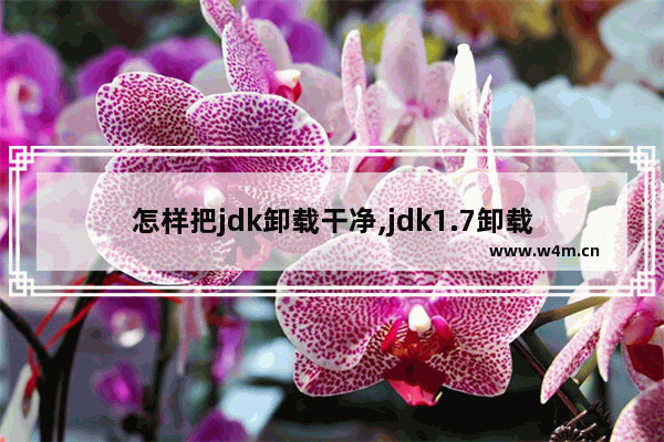 怎样把jdk卸载干净,jdk1.7卸载