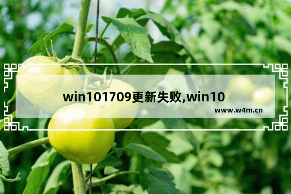 win101709更新失败,win10 17763.316