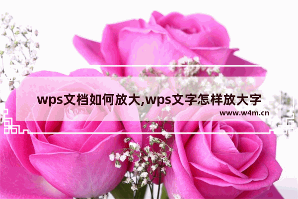 wps文档如何放大,wps文字怎样放大字