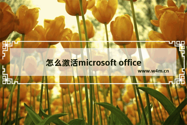 怎么激活microsoft office 2010,如何下载激活office2010