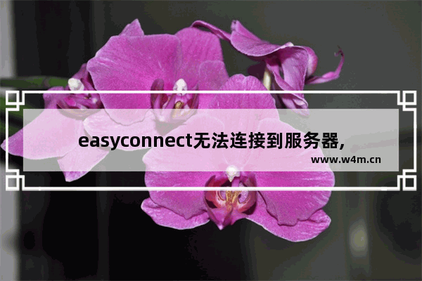 easyconnect无法连接到服务器,请检查网络是否可用,easyconnect显示无法连接到服务端